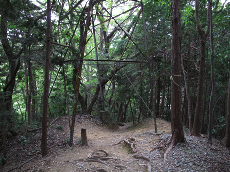 20171005hike (54)